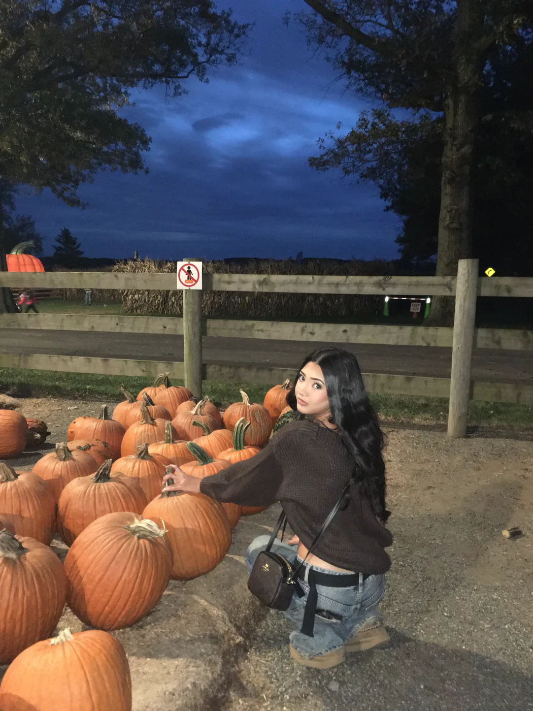 Celeste among the pumpkins.